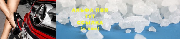 ПСИЛОЦИБИНОВЫЕ ГРИБЫ Дмитров